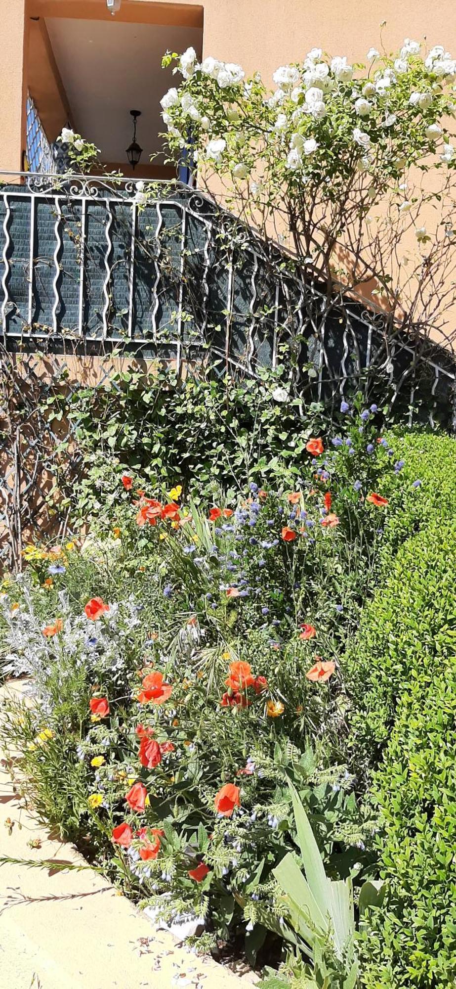 압트 T.Belle Vue Panoramique Au Coeur Du Luberon 40M2 + Pergola . Jardin. P 아파트 외부 사진