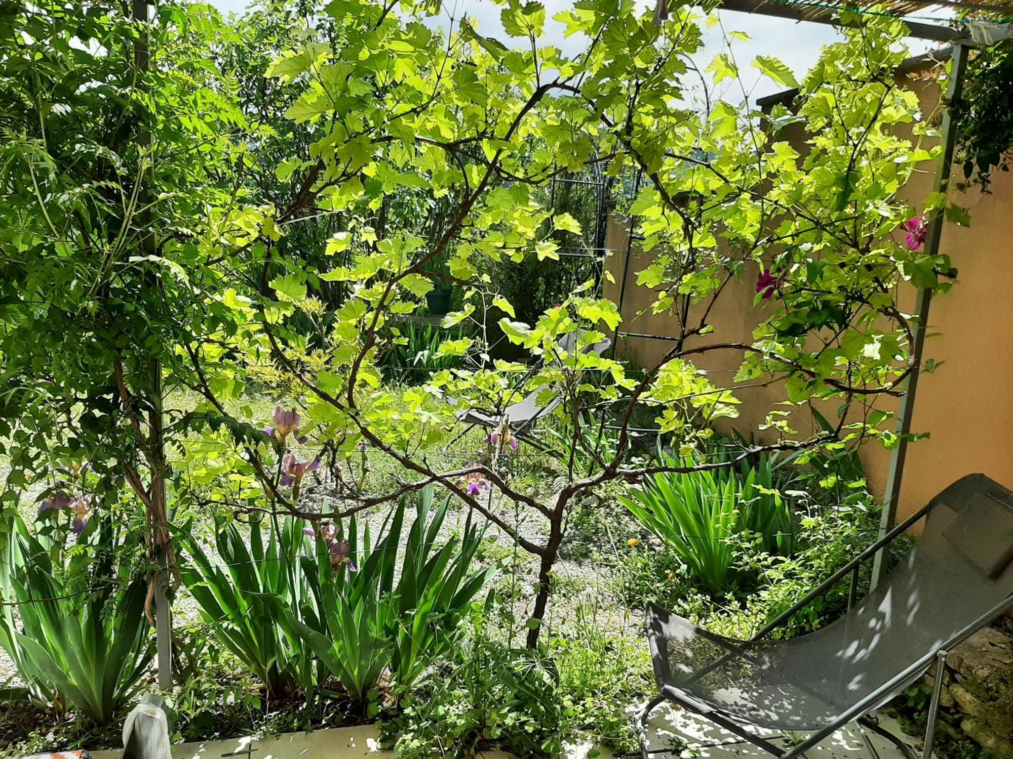 압트 T.Belle Vue Panoramique Au Coeur Du Luberon 40M2 + Pergola . Jardin. P 아파트 외부 사진